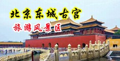 黑丝白虎穴日本中国北京-东城古宫旅游风景区